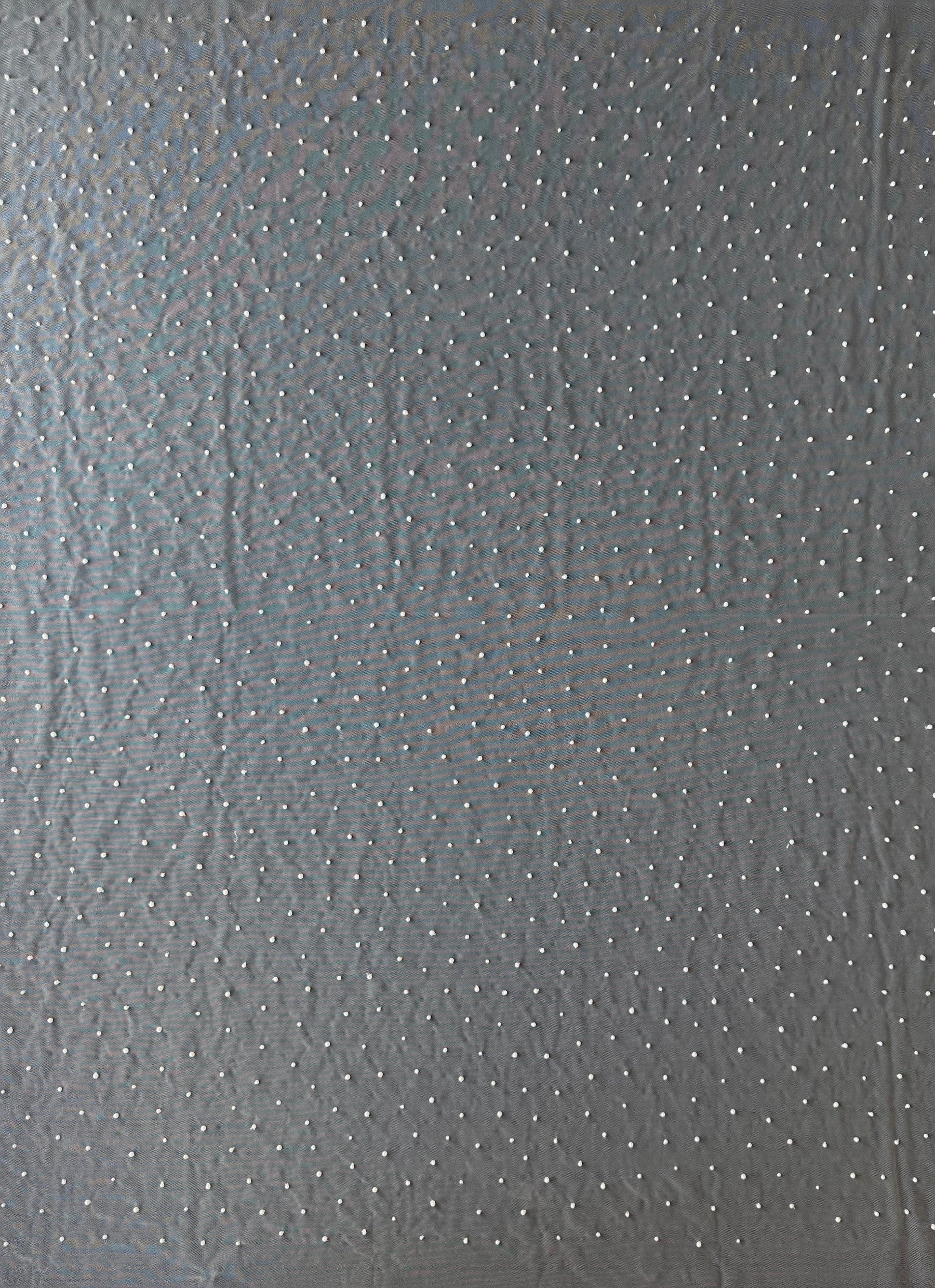 Ivory Beaded Tulle - EB1071