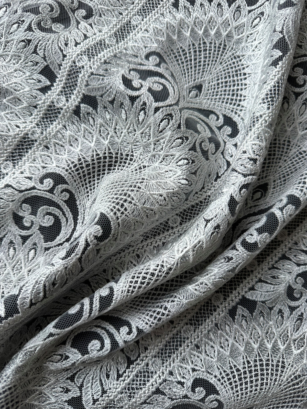 Ivory Embroidered Lace - EB5044