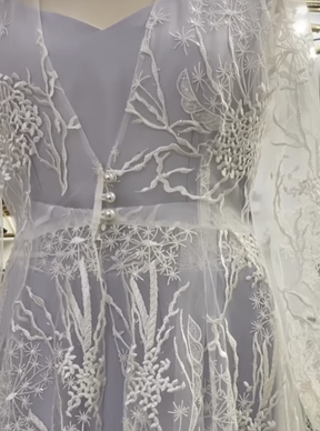 Ivory Embroidered Lace - Hayley