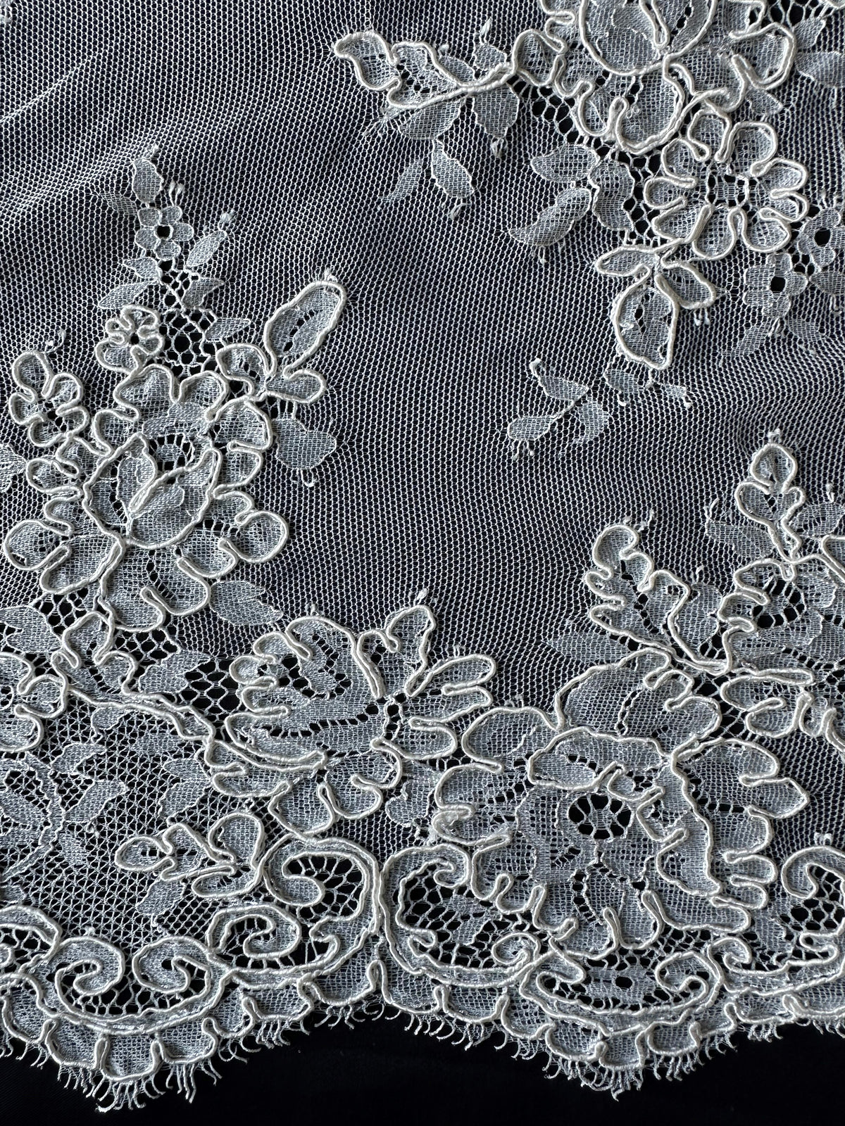 Ivory Corded Lace – Teresa (CF)