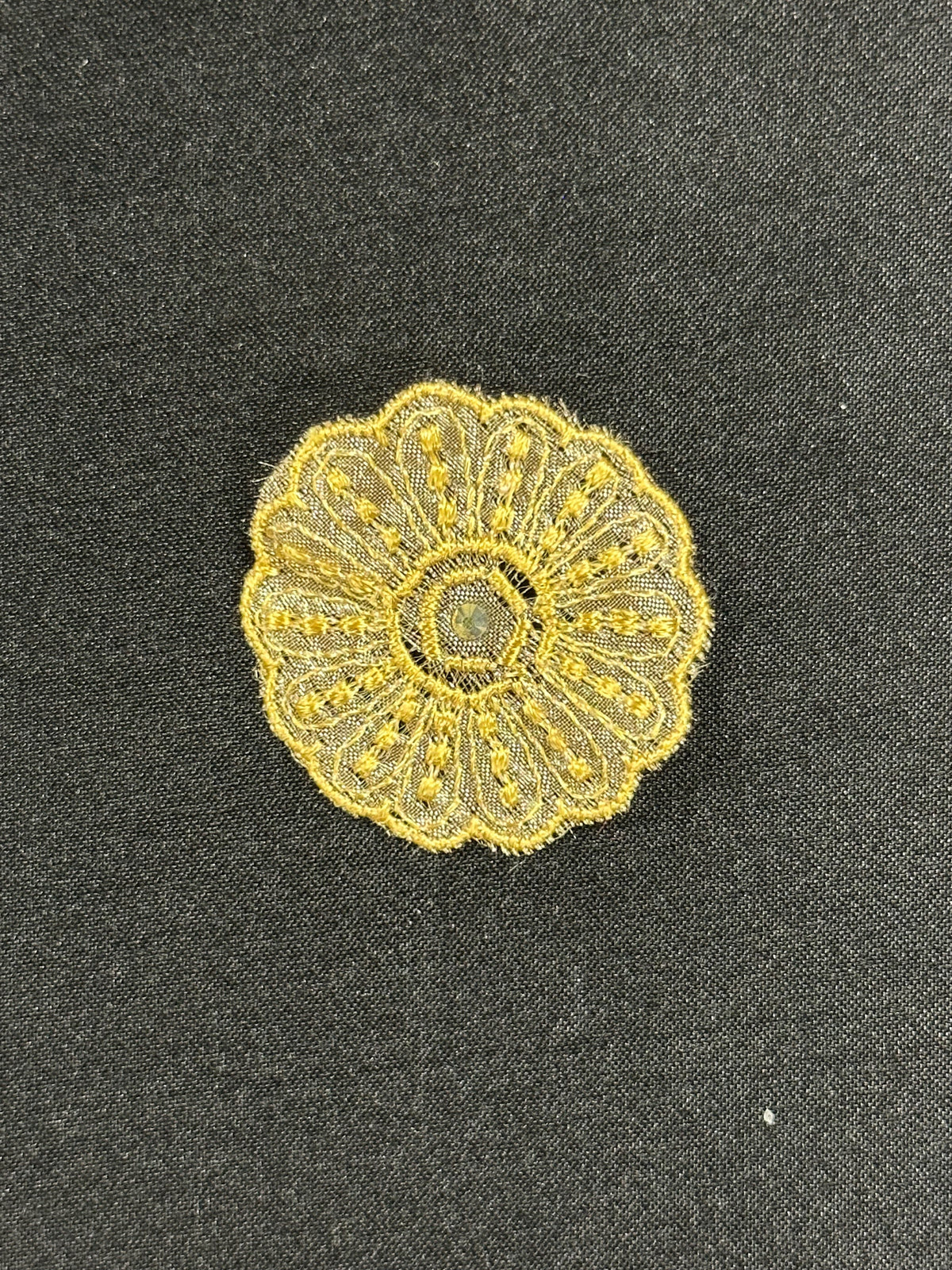 Gold Irridescent Lace Applique - Alarm