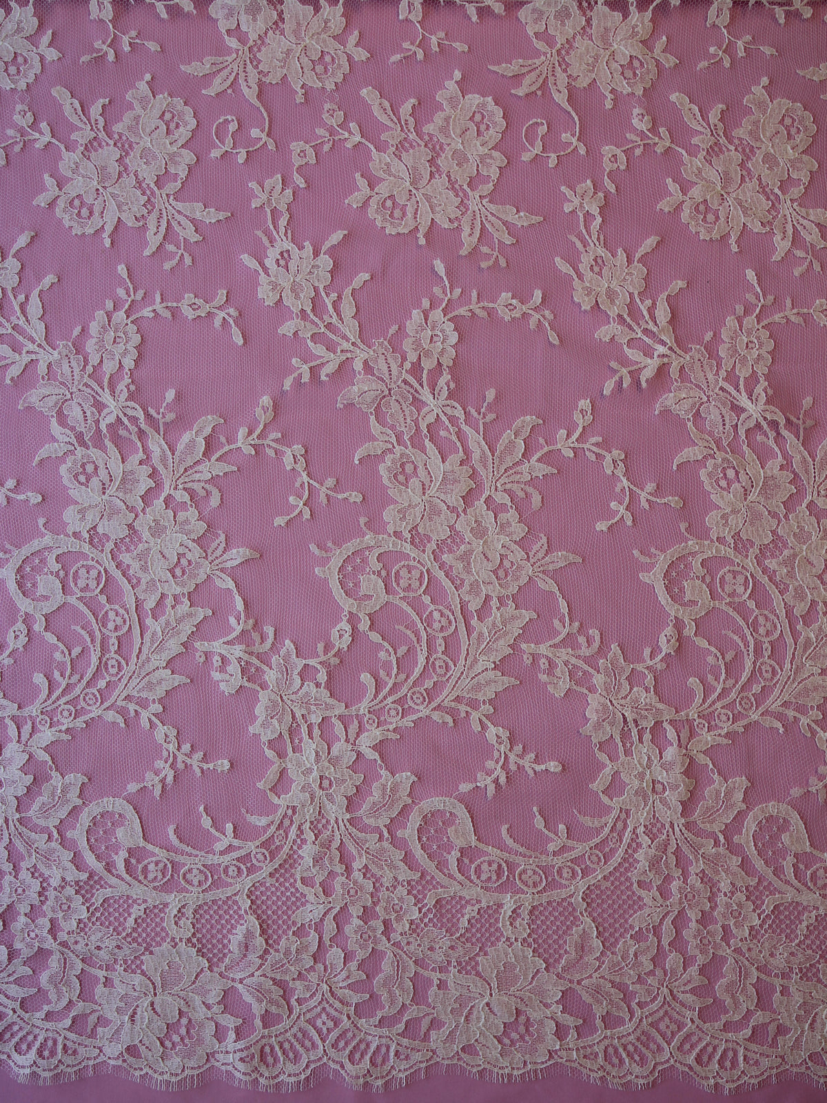 Pale Ivory Chantilly Lace - Ditzy