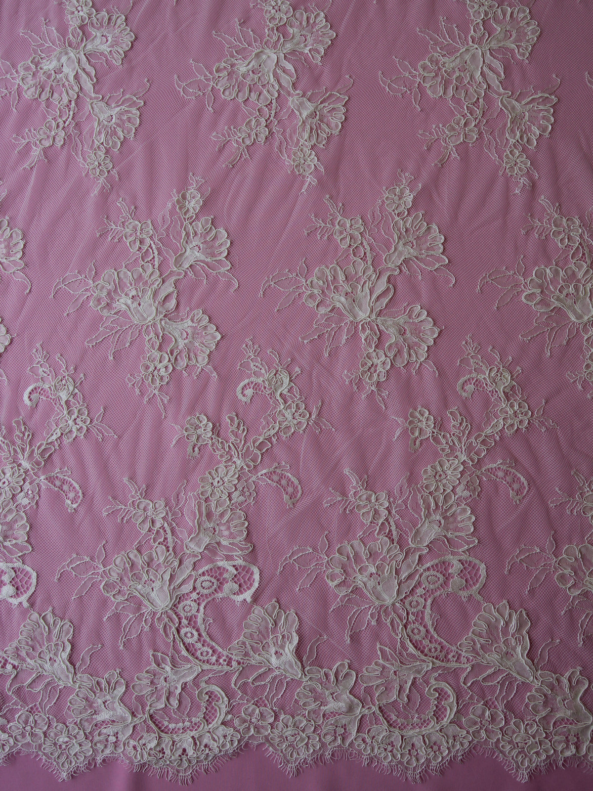 Discounted Ivory Corded Lace – Emily