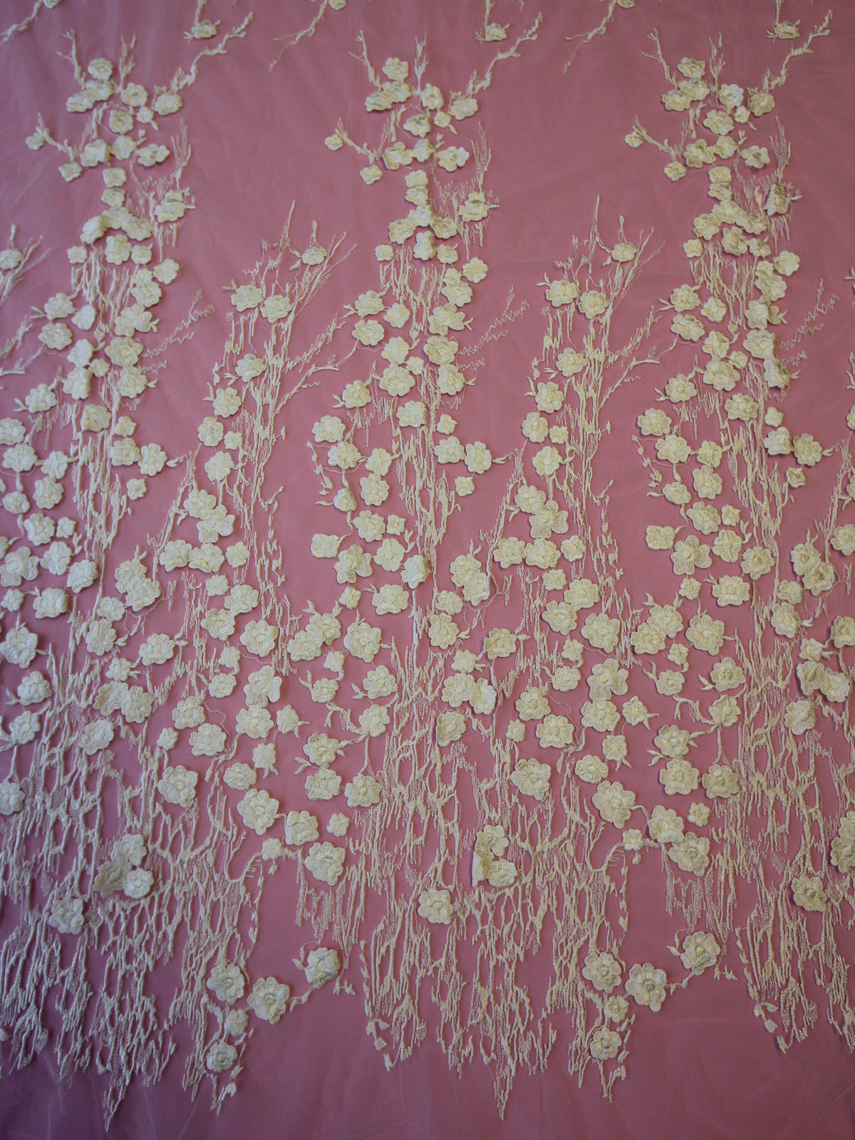 Discounted Ivory Embroidered Lace - Sunday