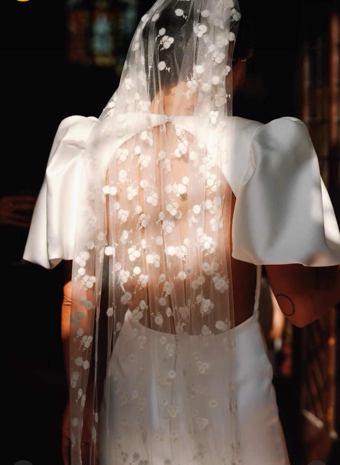 Ivory Embroidered Lace - Lyall