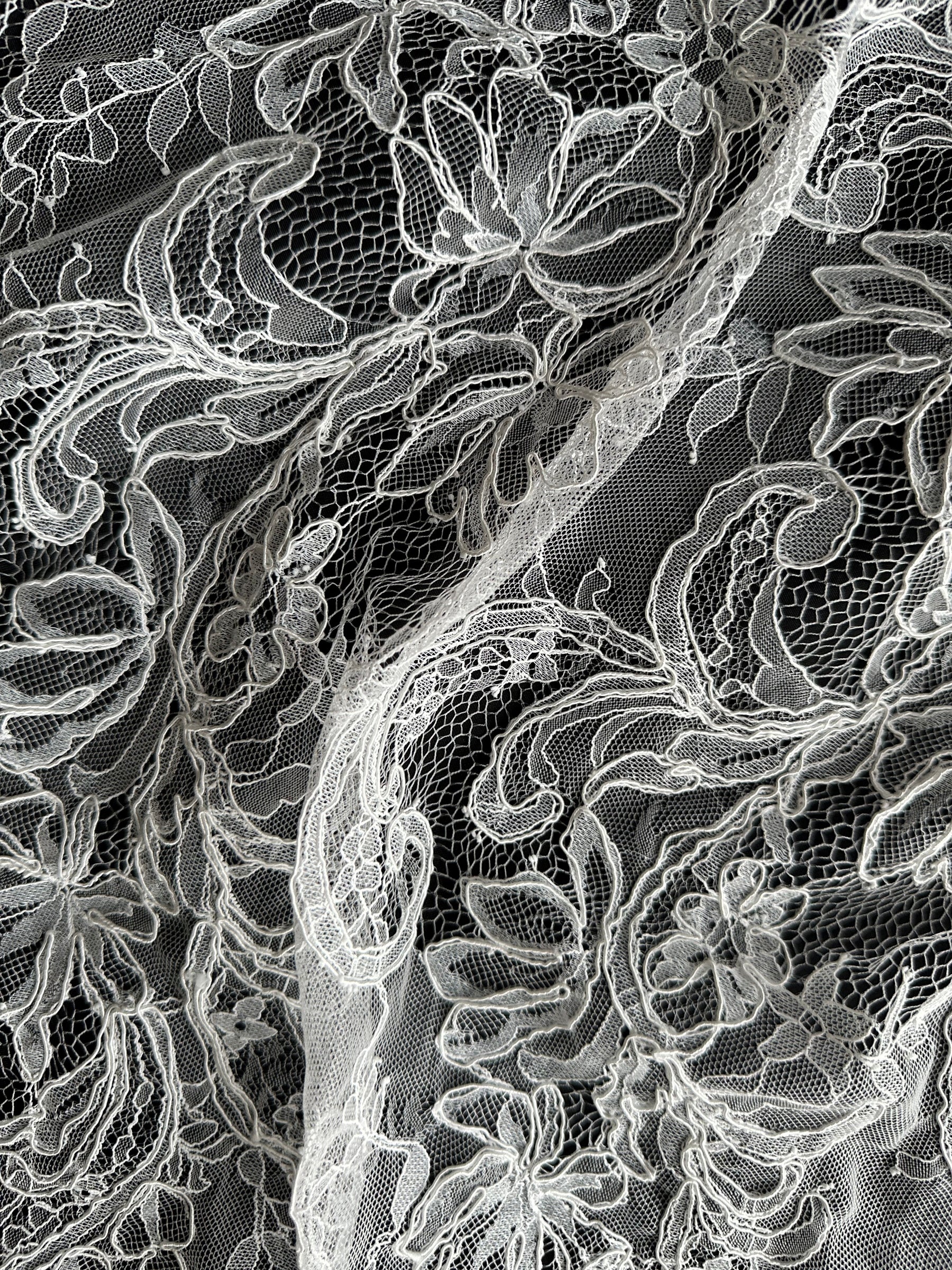 Ivory Corded Lace – Mercer