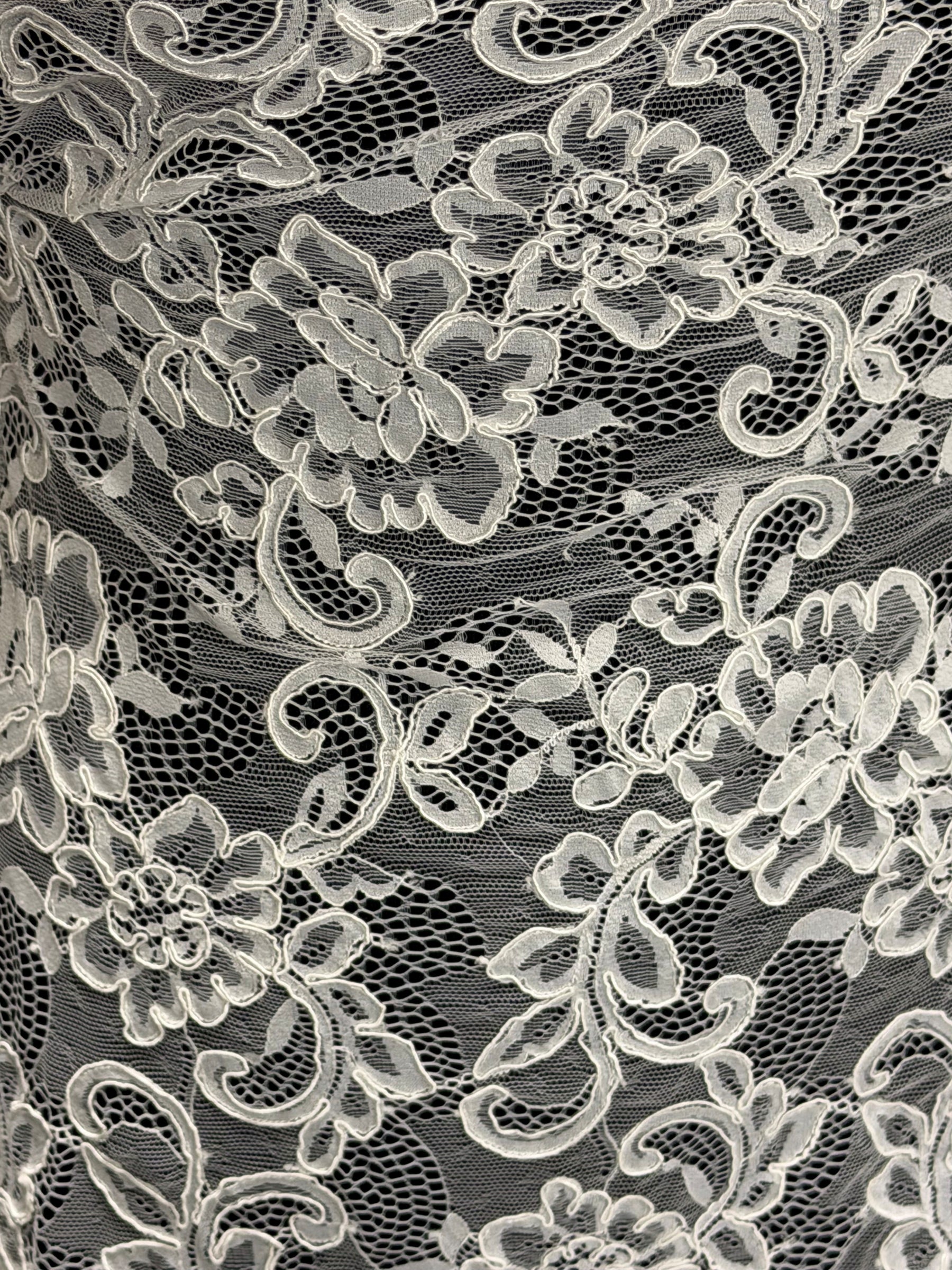 Ivory Corded Lace - P210