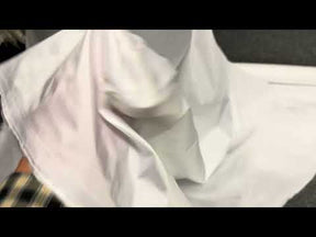 White Polyester Taffeta - P75