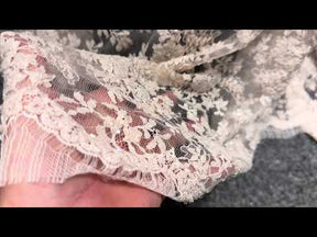Oyster Beaded Chantilly Lace - P298
