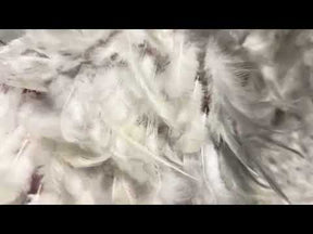 Ivory Feather Embellished Tulle - Quill