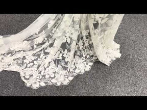 Ivory Embroidered Lace - EB5049