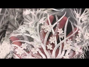 Ivory Embroidered Lace - Sonnet