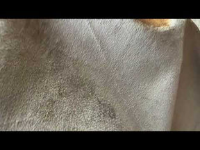 Antique Gold Velvet - Lust