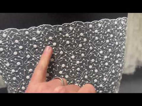 Ivory Embroidered Lace - EB5027