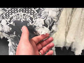 Ivory 3D Embellished Raschel Lace - P647