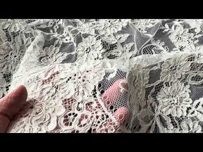Ivory Corded Lace - Brogan P376