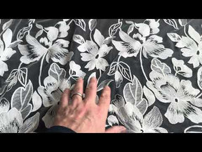 Ivory Embroidered Lace - EB5049