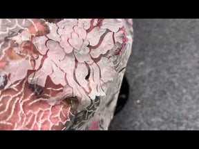 Multi Coloured Lace - Glenys