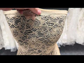 Champagne Corded Lace - Tocca