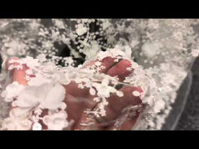 Ivory 3D Embroidered Lace - Savinder