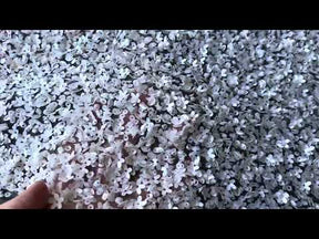 Ivory Sequin Lace - Caris
