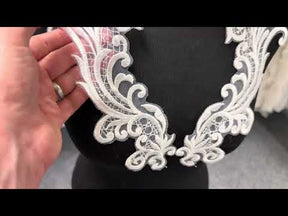 Ivory Embroidered Lace Appliques - MT6001