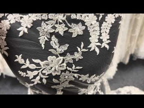 Ivory Embroidered Lace - P651