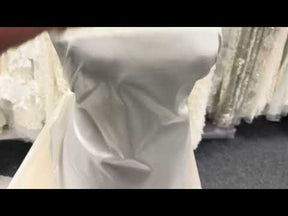 Ivory Silk Blend Organza Taffeta - P607