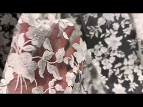 Ivory Embroidered Lace - X579