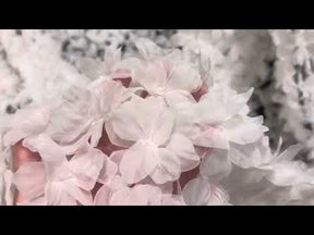 Ivory 3D Flower Lace - Sheeba