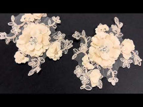 Champagne Beaded 3D Lace Appliques - T286