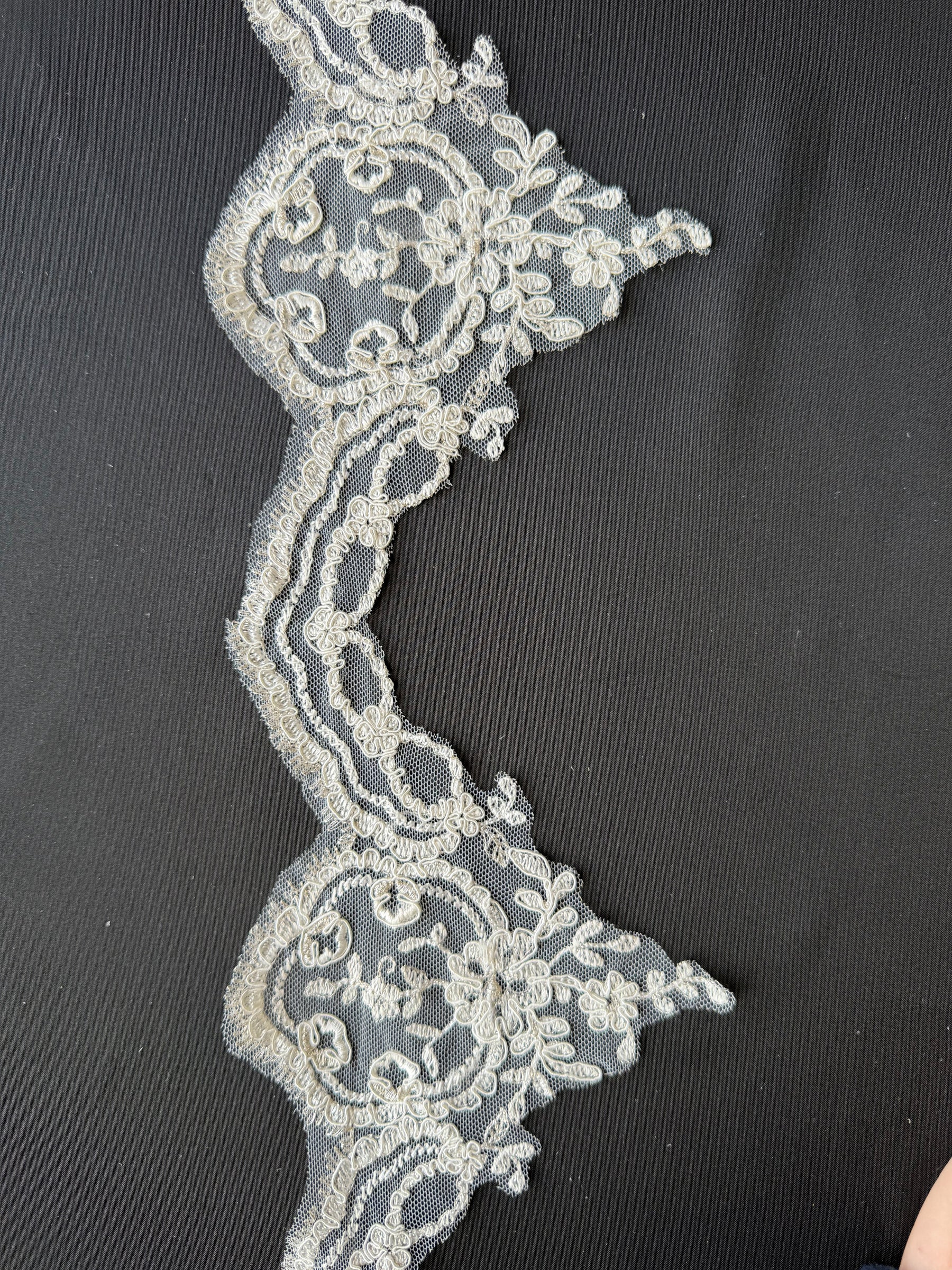 Ivory with Silver Embroidered Lace Trim - T298