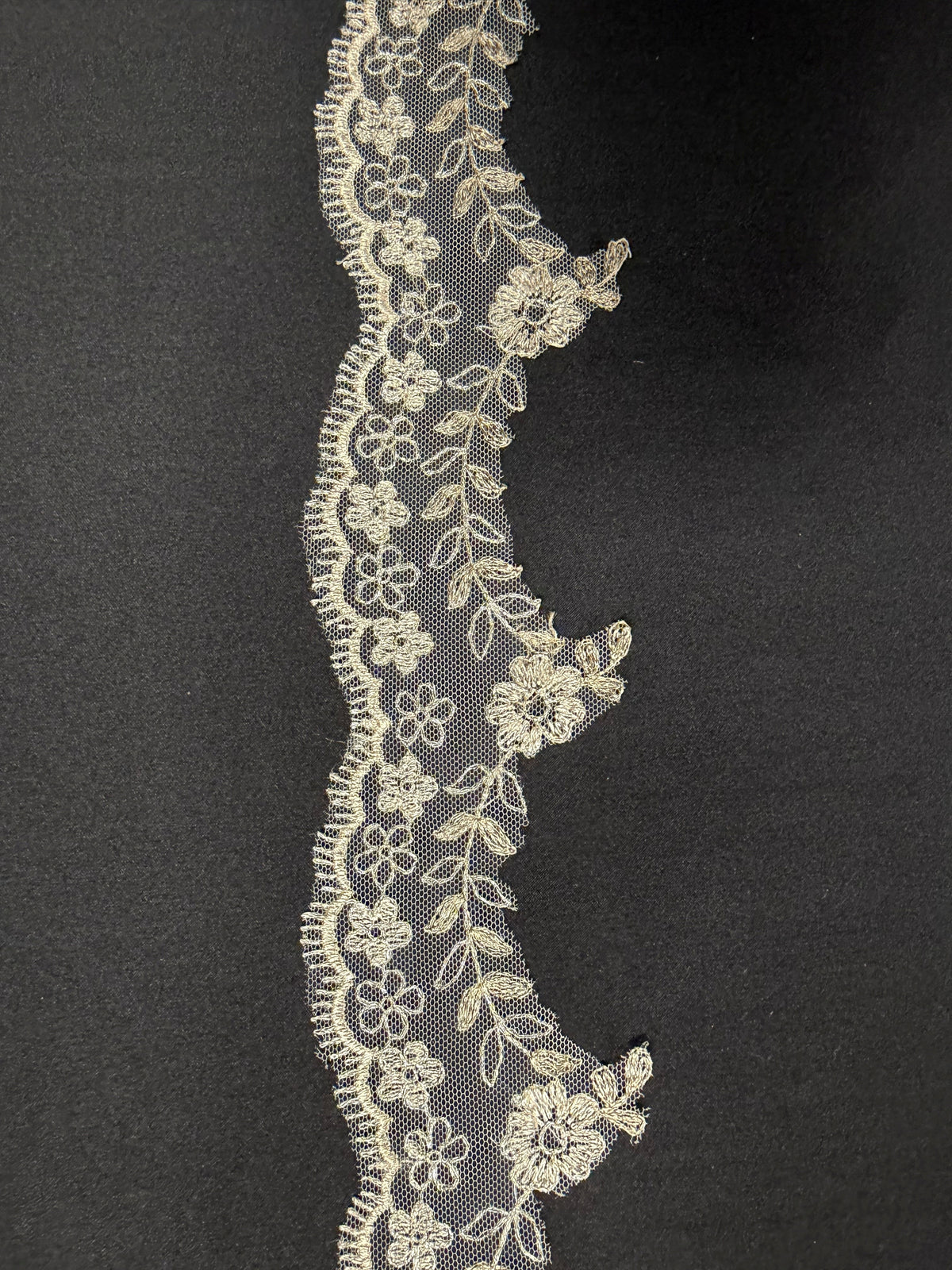 Ivory and Champagne Embroidered Lace Trim - T53