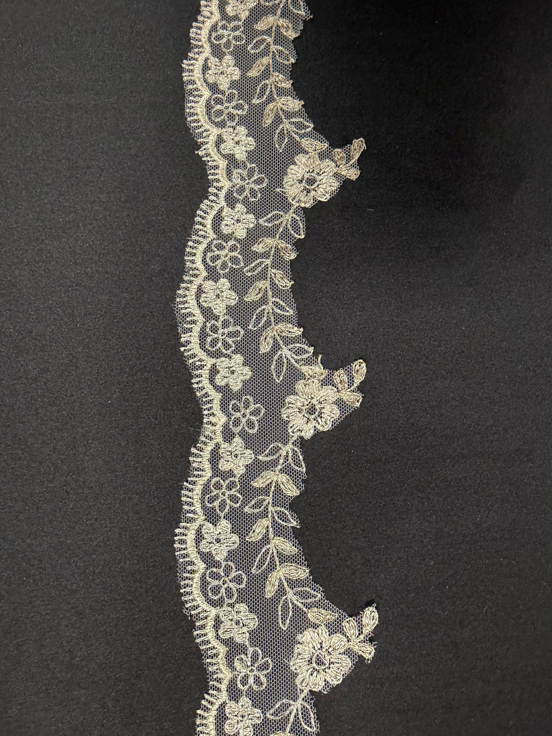 Ivory and Champagne Embroidered Lace Trim - T53