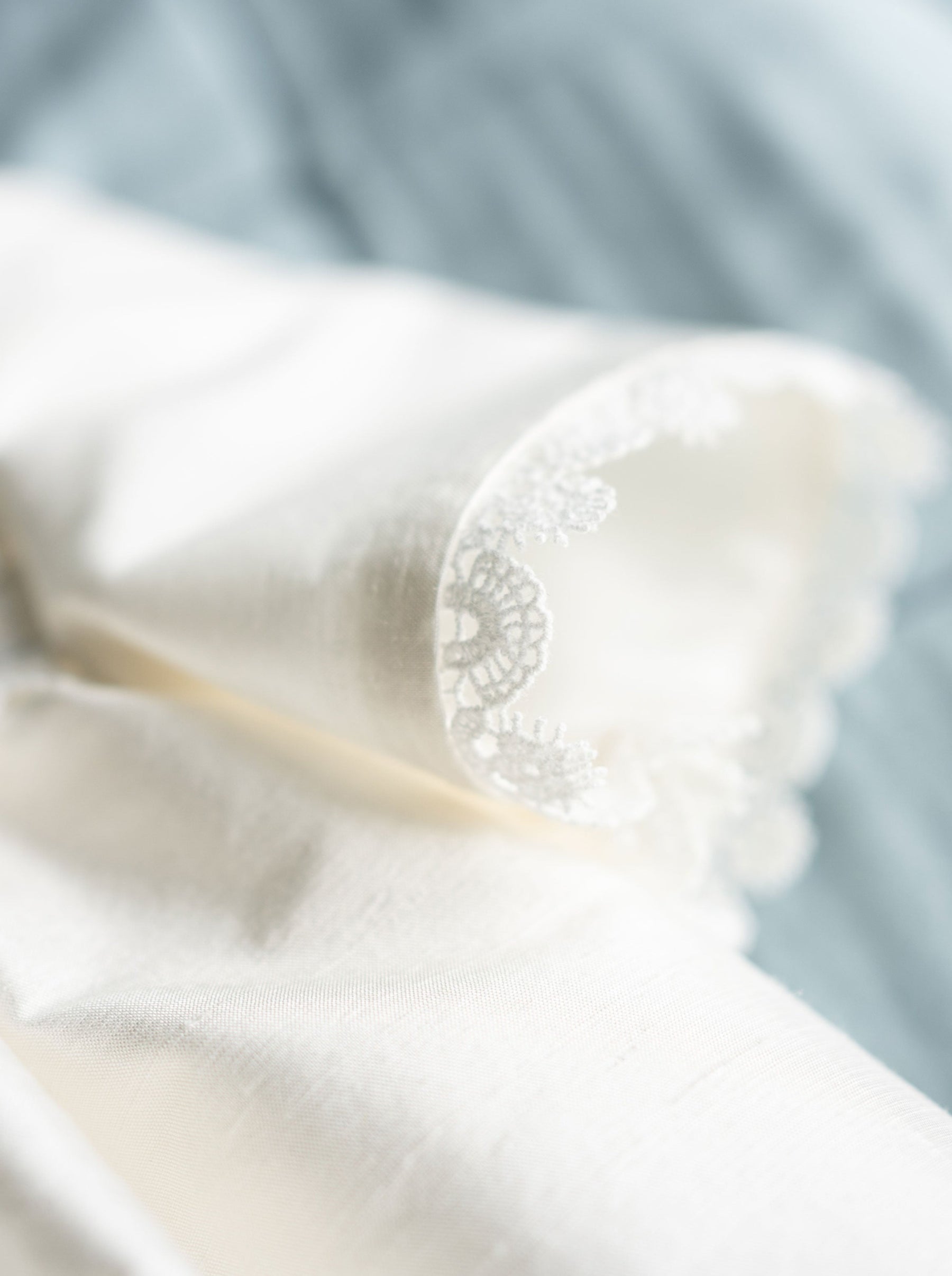 Ivory Lace Trim - Salamander