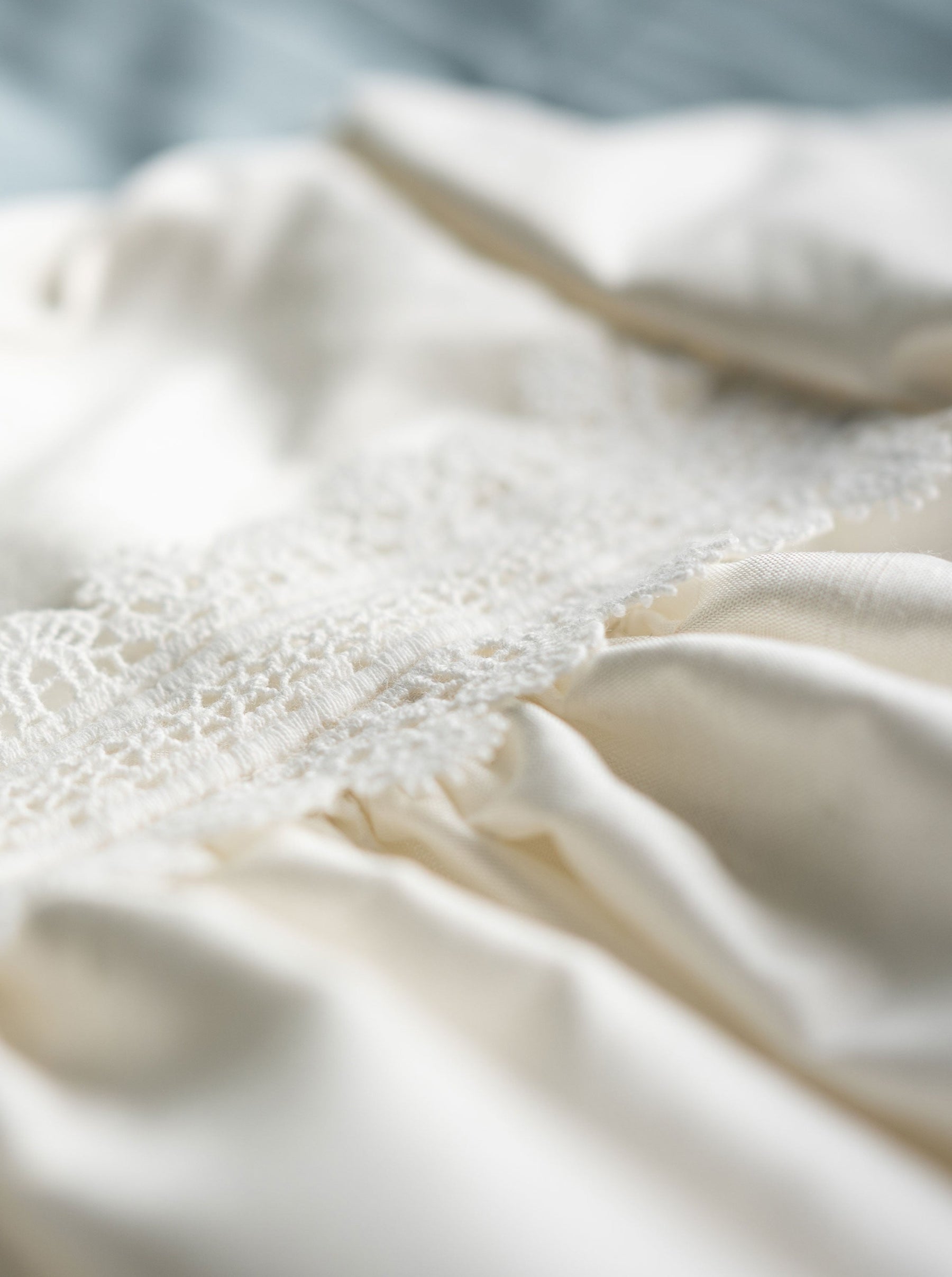 Ivory Lace Trim - Salamander