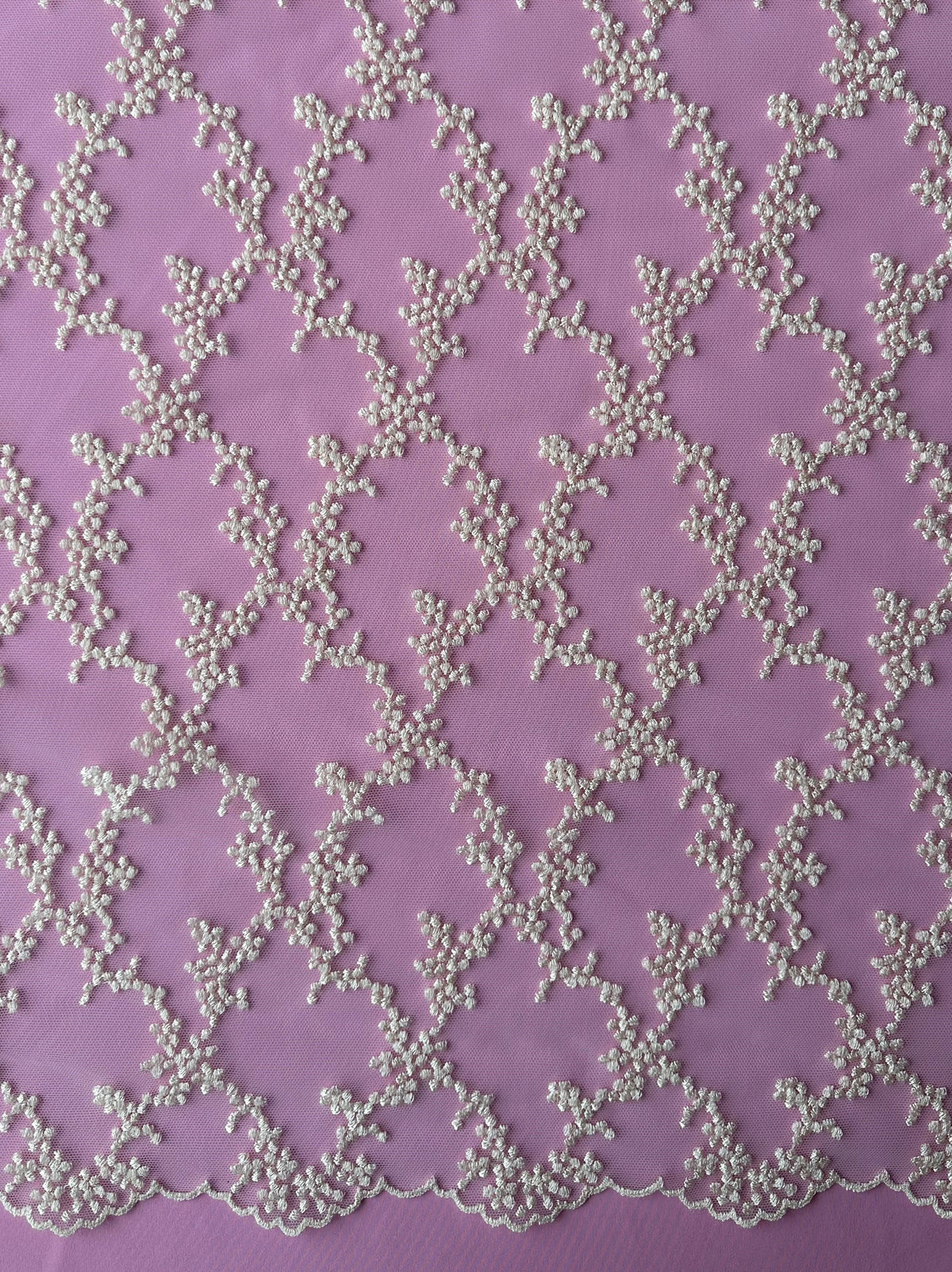 Champagne French Embroidered Lace - Larissa