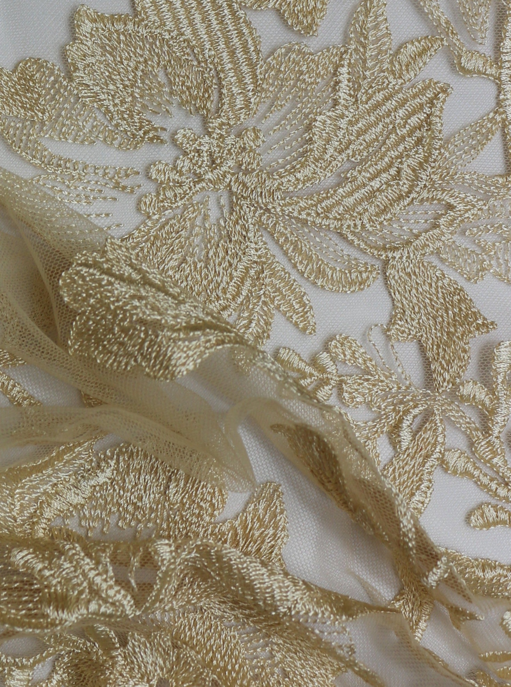 Champagne Embroidered Lace - Fontaine