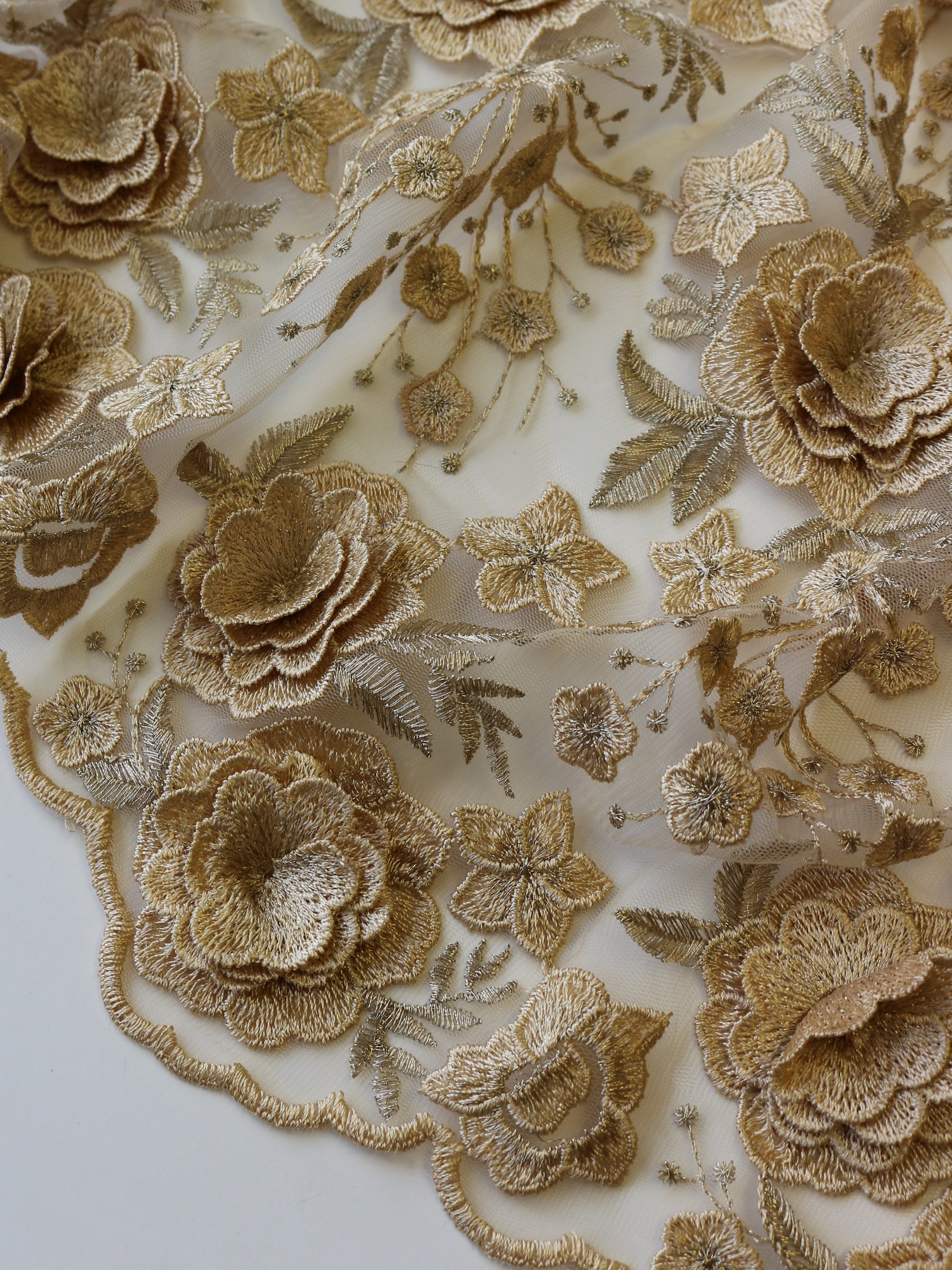 Gold Embroidered Lace - Goldie