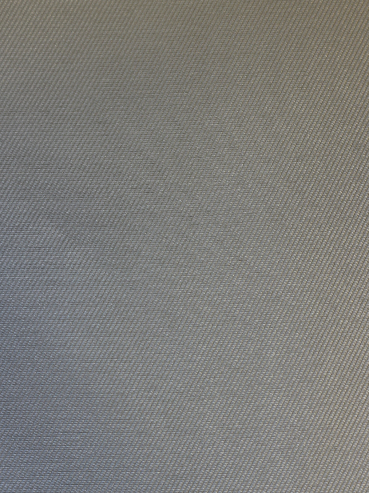 Ivory Eco Mikado - (140cm/55") - Treat