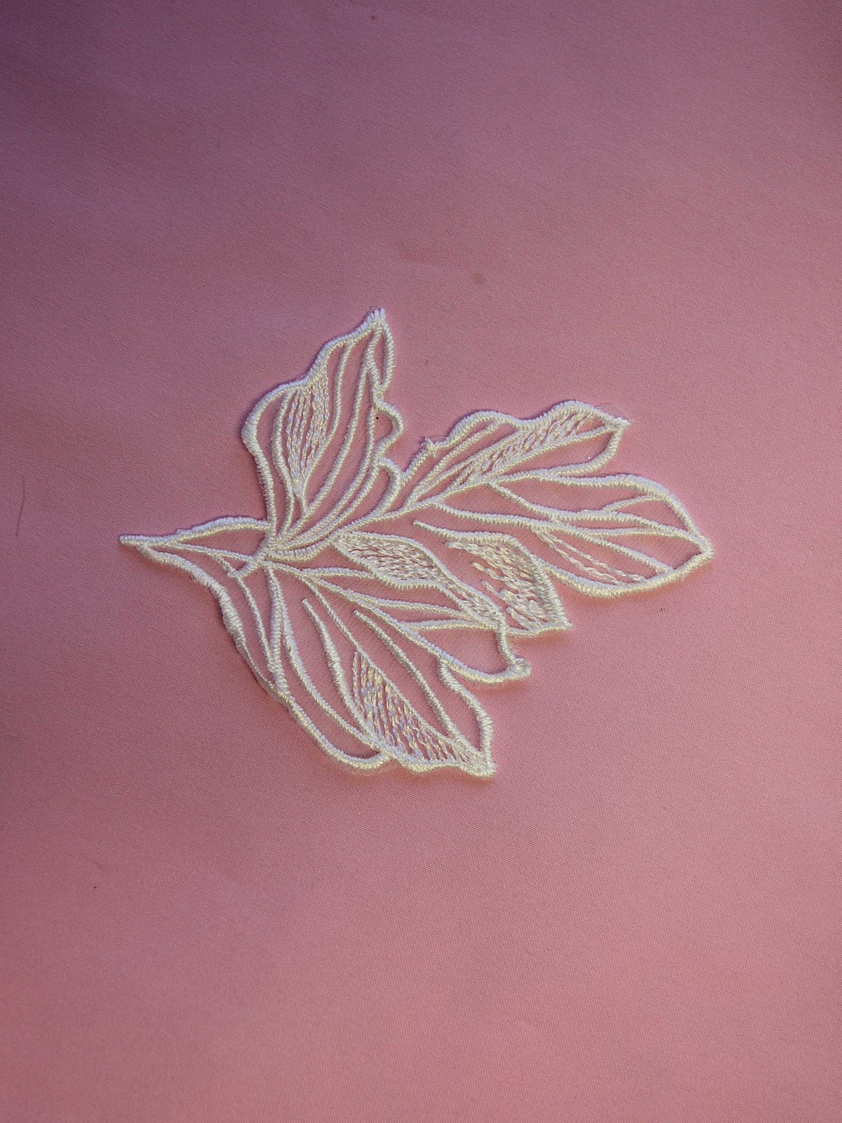 Ivory Embroidered Leaf - Laurel (Bags of 10)