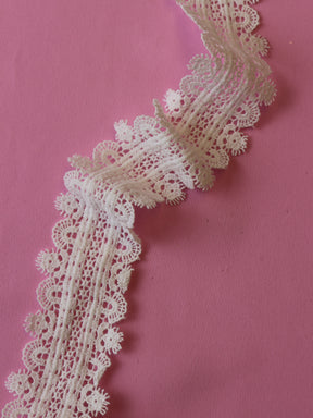 Ivory Lace Trim - Salamander