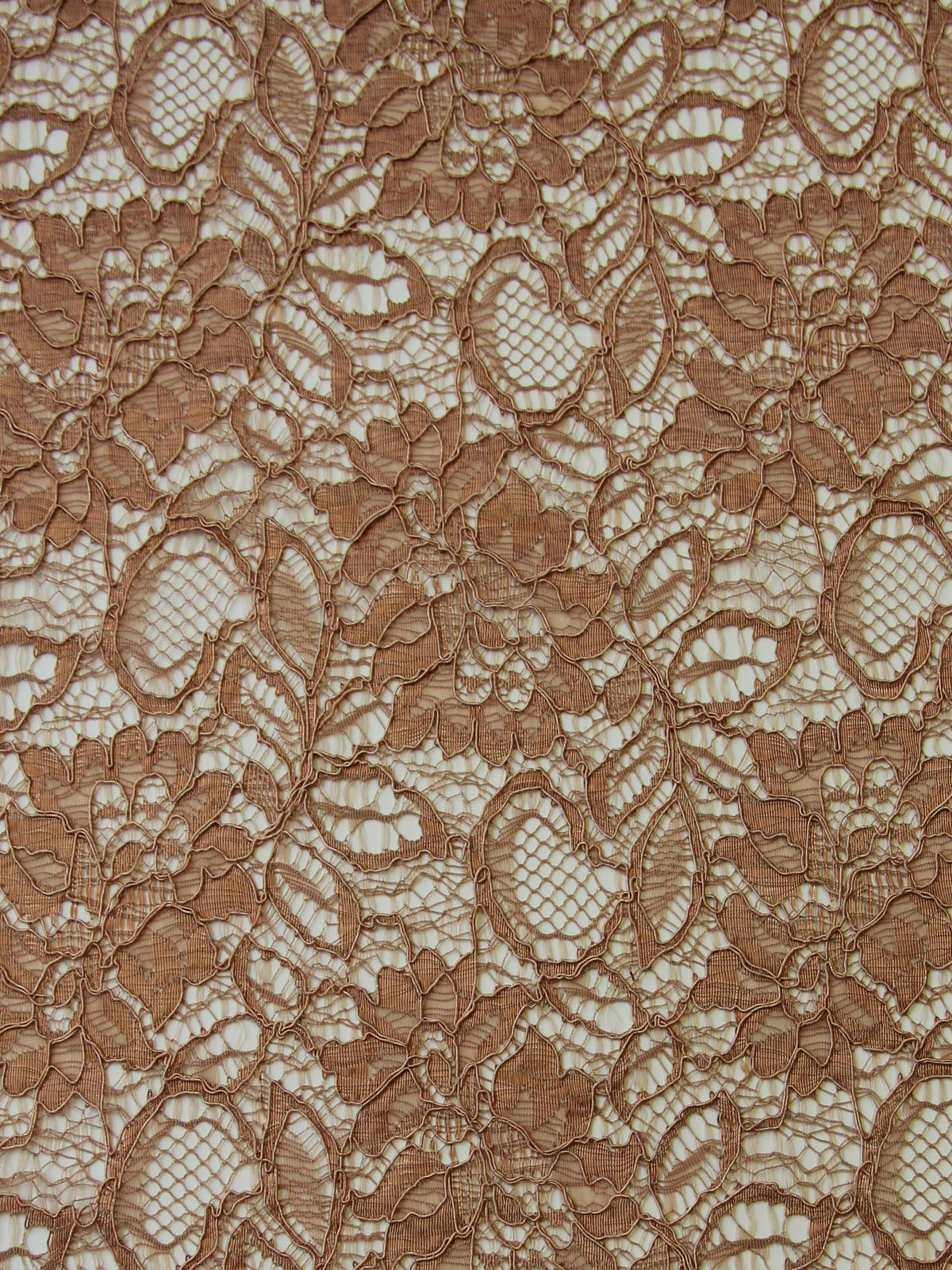 Latte Corded Lace - Sinead