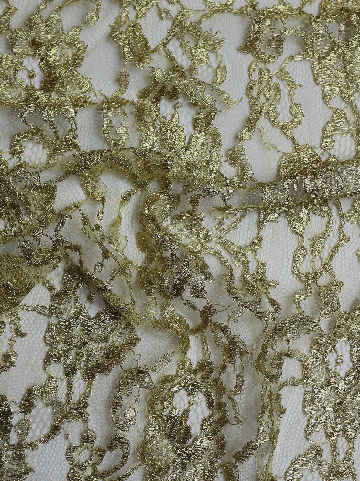 Gold Chantilly Lace - Orkney