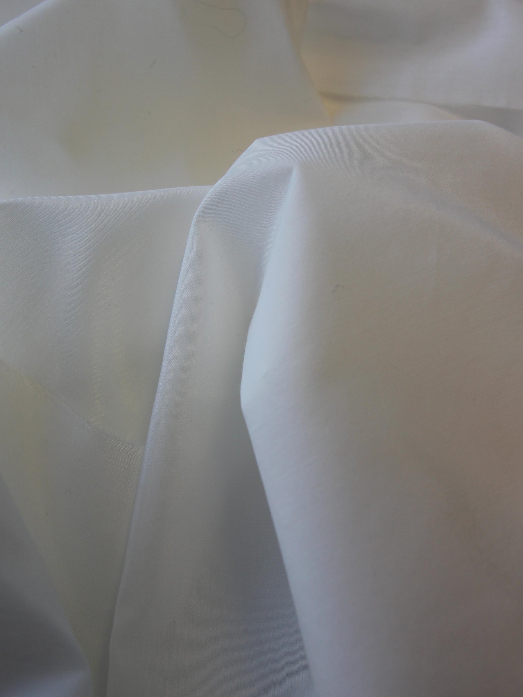 Ivory Silk Cotton Habotai 12 m/m (140cm/55") - Genteel