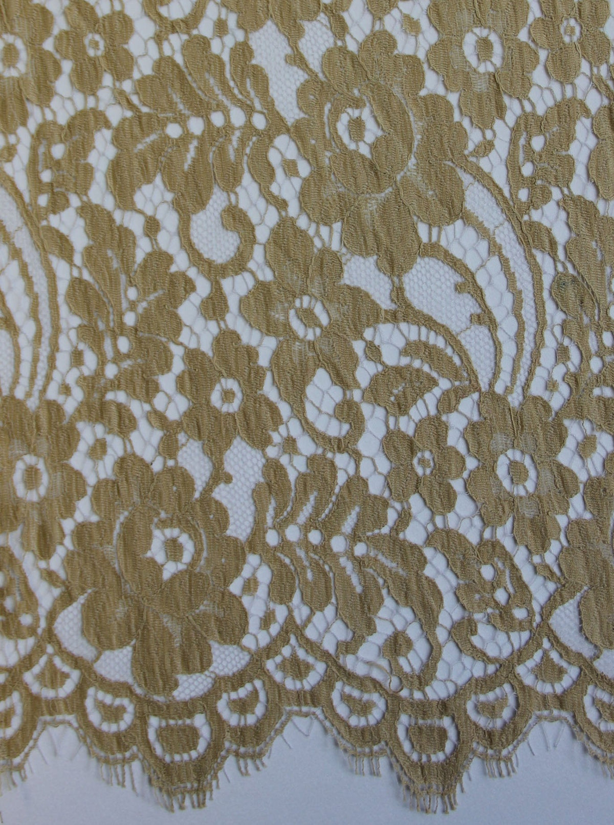 Beige Lace - Jemima