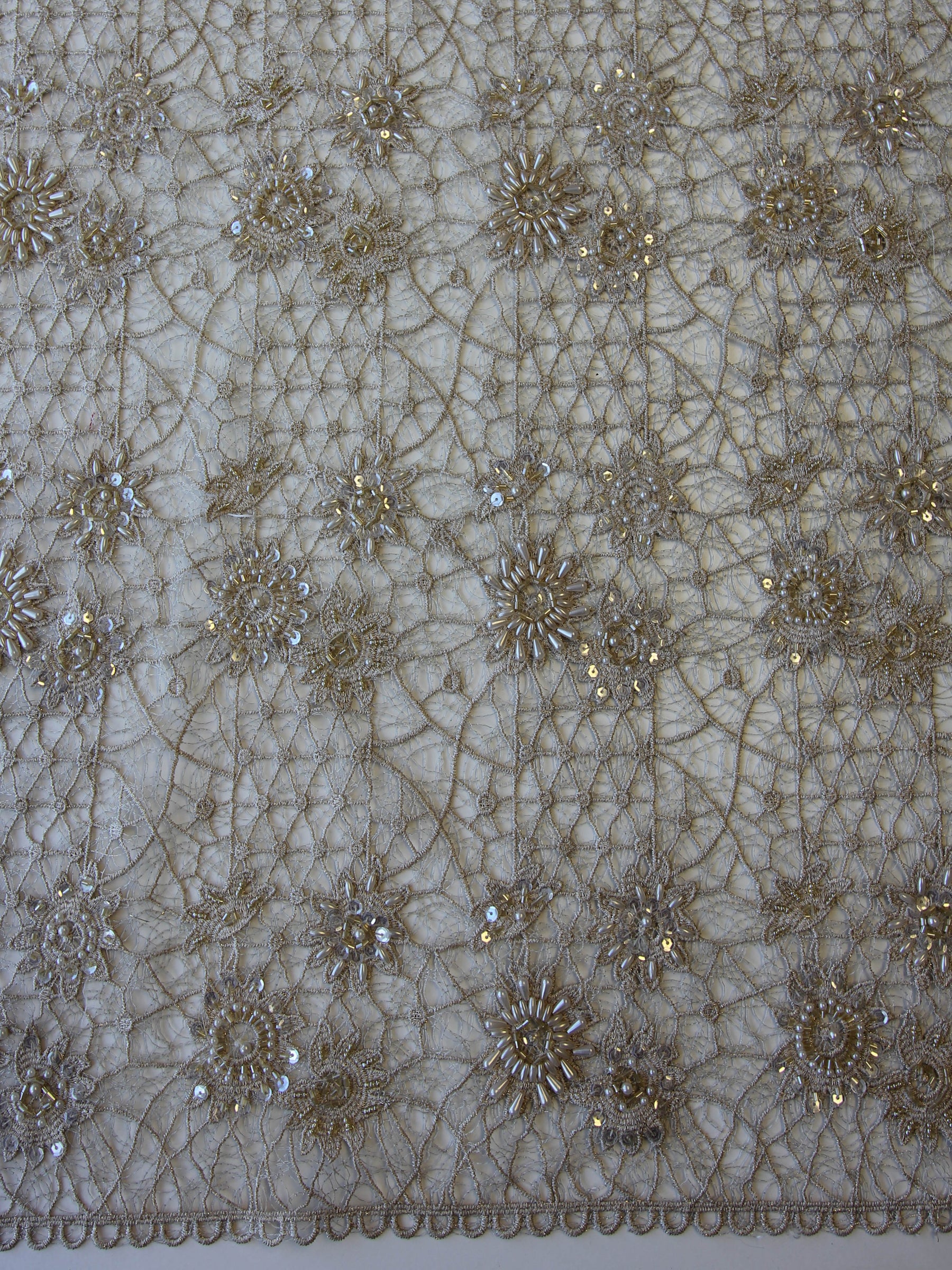 Champagne Beaded Lace - Louanda