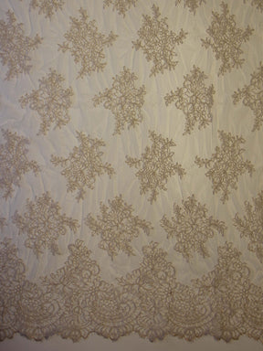 Champagne Corded Lace - Millicent