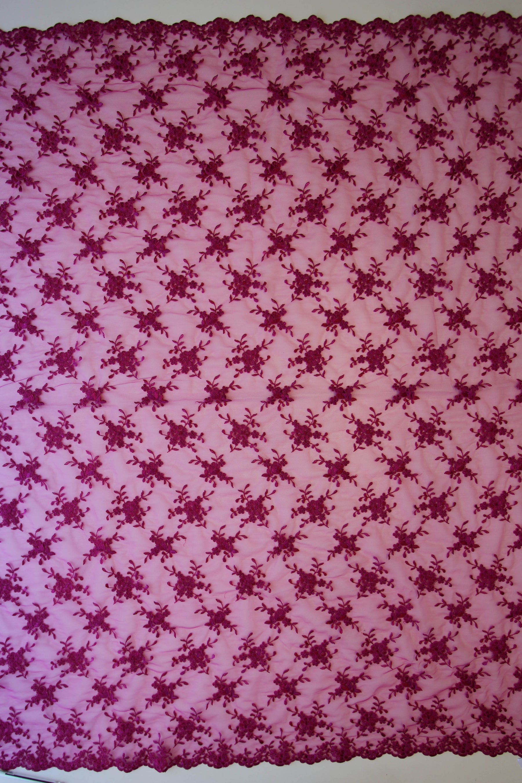 Fuchsia Corded Lace - Geraldine