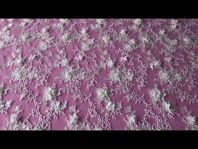 Ivory Beaded Lace - Camille